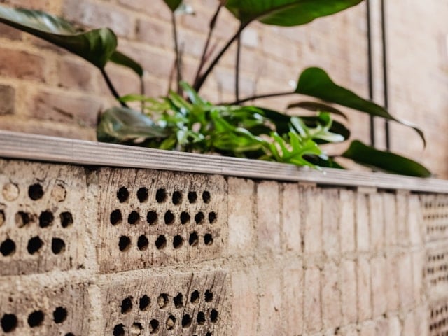 Tegel har murats upp till en sittbänk med en plantering av grön växt.