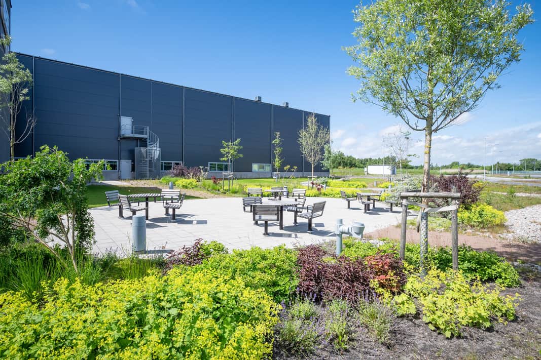 Raingarden