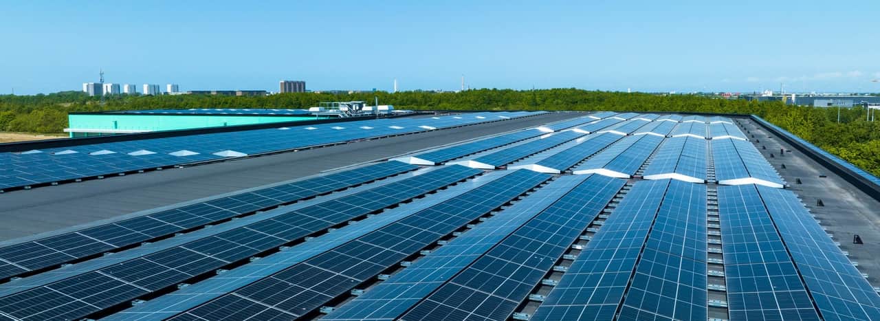 Två biodlare vid en bikupa.