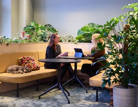 Två personer sitter i en soffa med en hund som sover. 