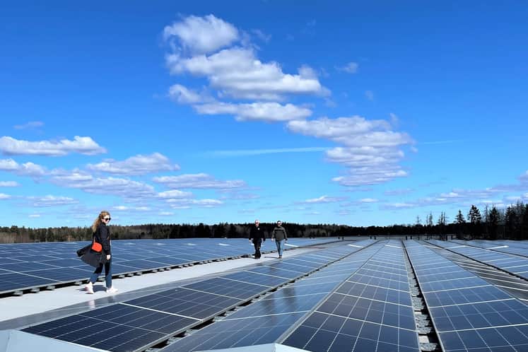 Solcellsanläggning på att lager- och logistiktak med Castellum-personal gåendes på det. 