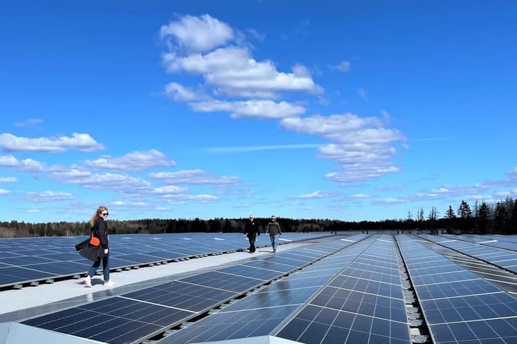 Solcellsanläggning på att lager- och logistiktak med Castellum-personal gåendes på det.