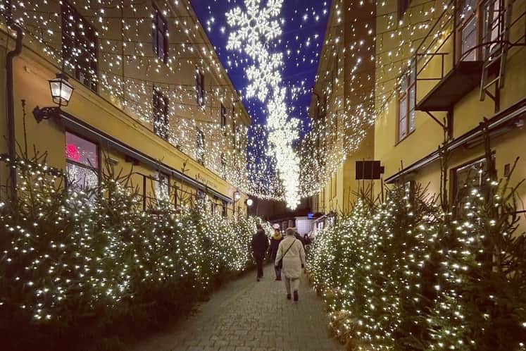 Gågata kantad med julgranar och med julbelysning ovanför.