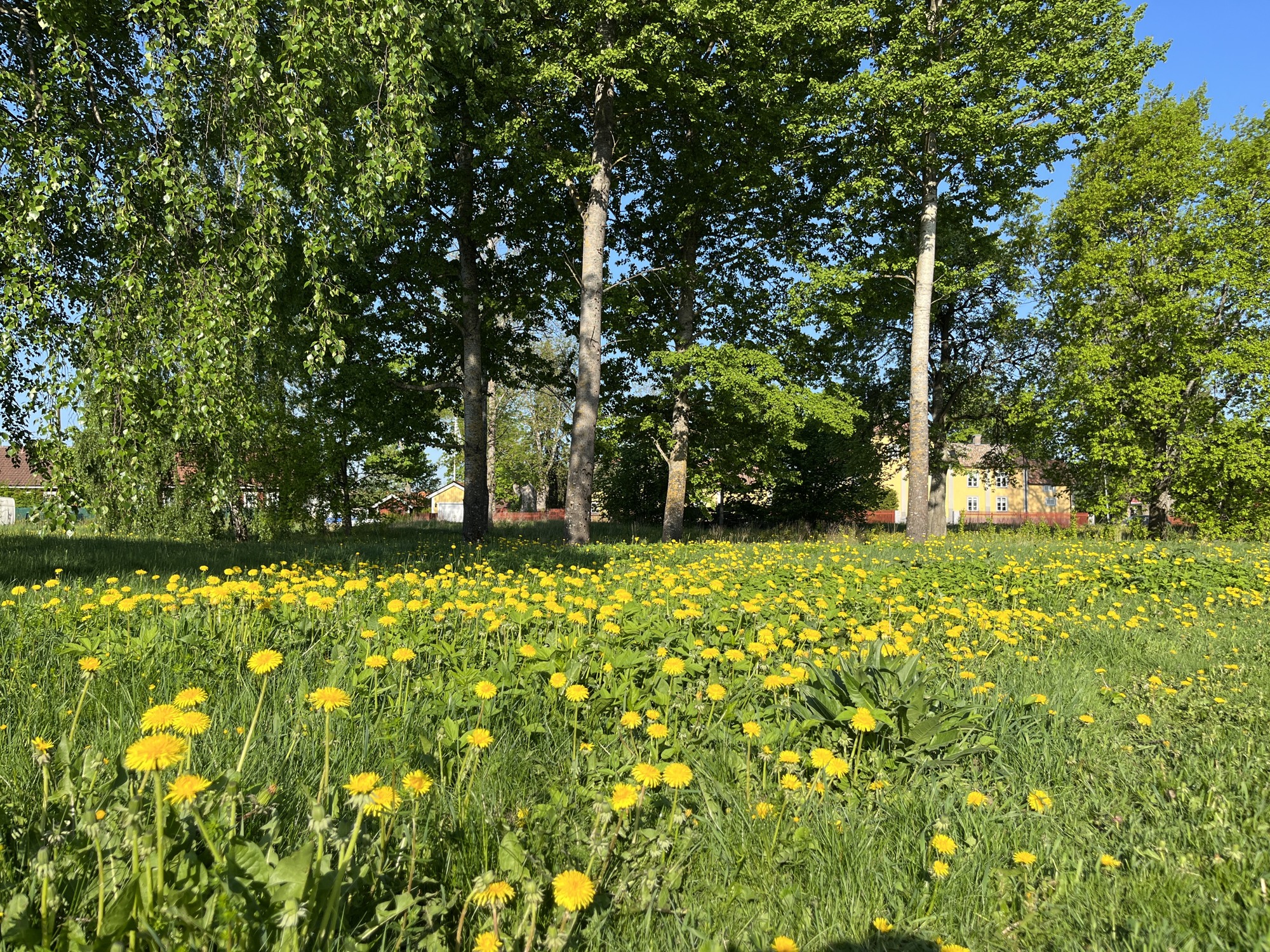 Adolfsbergsvägen 2-4 8