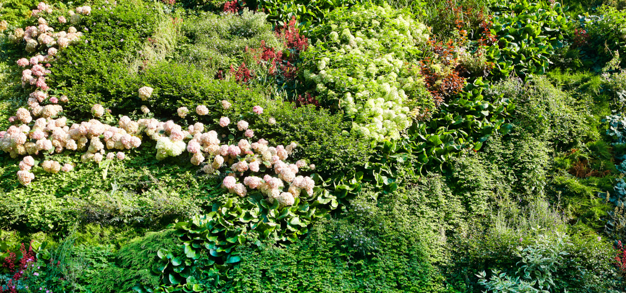 Blommor och grönt gräs