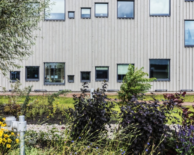 Raingarden
