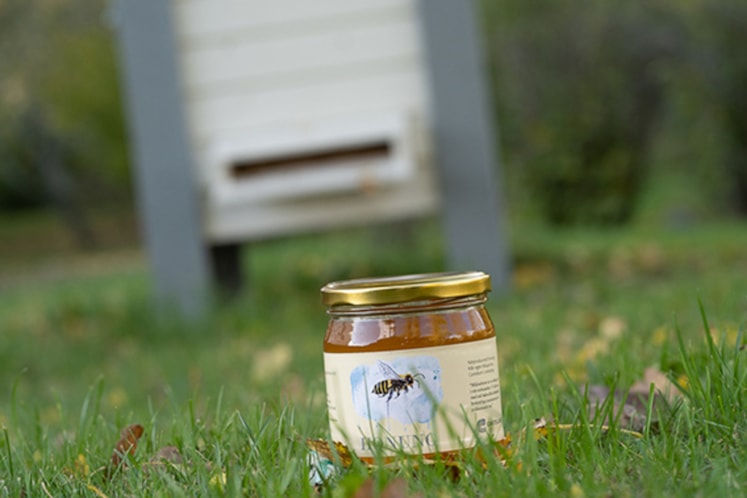 Närbild av honungsburk på gräsmatta framför en bikupa.