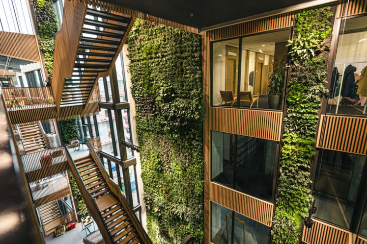 Interiörbild från Eden med trätrappa och växtbeklädda väggar.