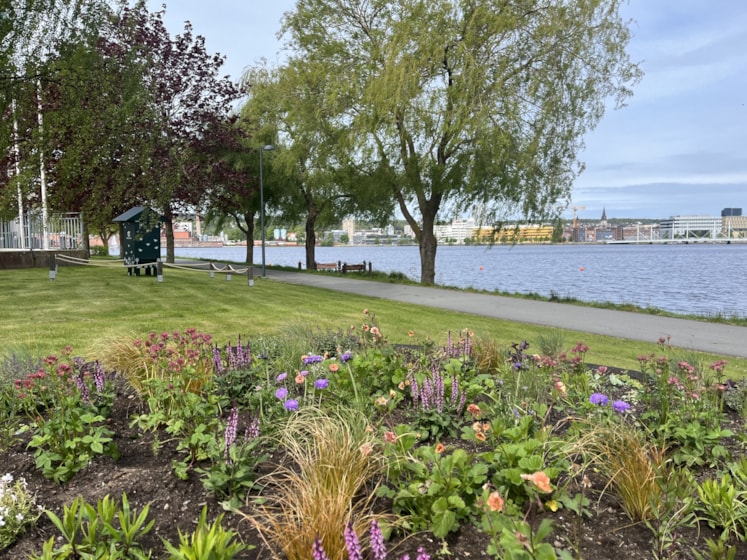 Olika blommor som är satta i en cirkel på gräsmattan och i bakgrunden syns vatten från sjön Munksjön