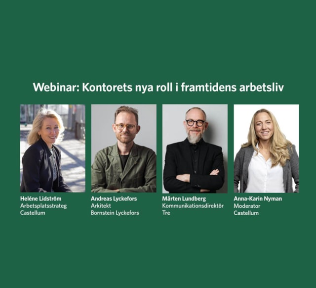 Kollage med talare från webinaret.