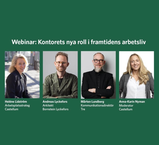 Kollage med talare från webinaret.